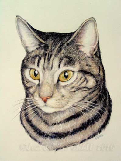 Portrait artistique de chat